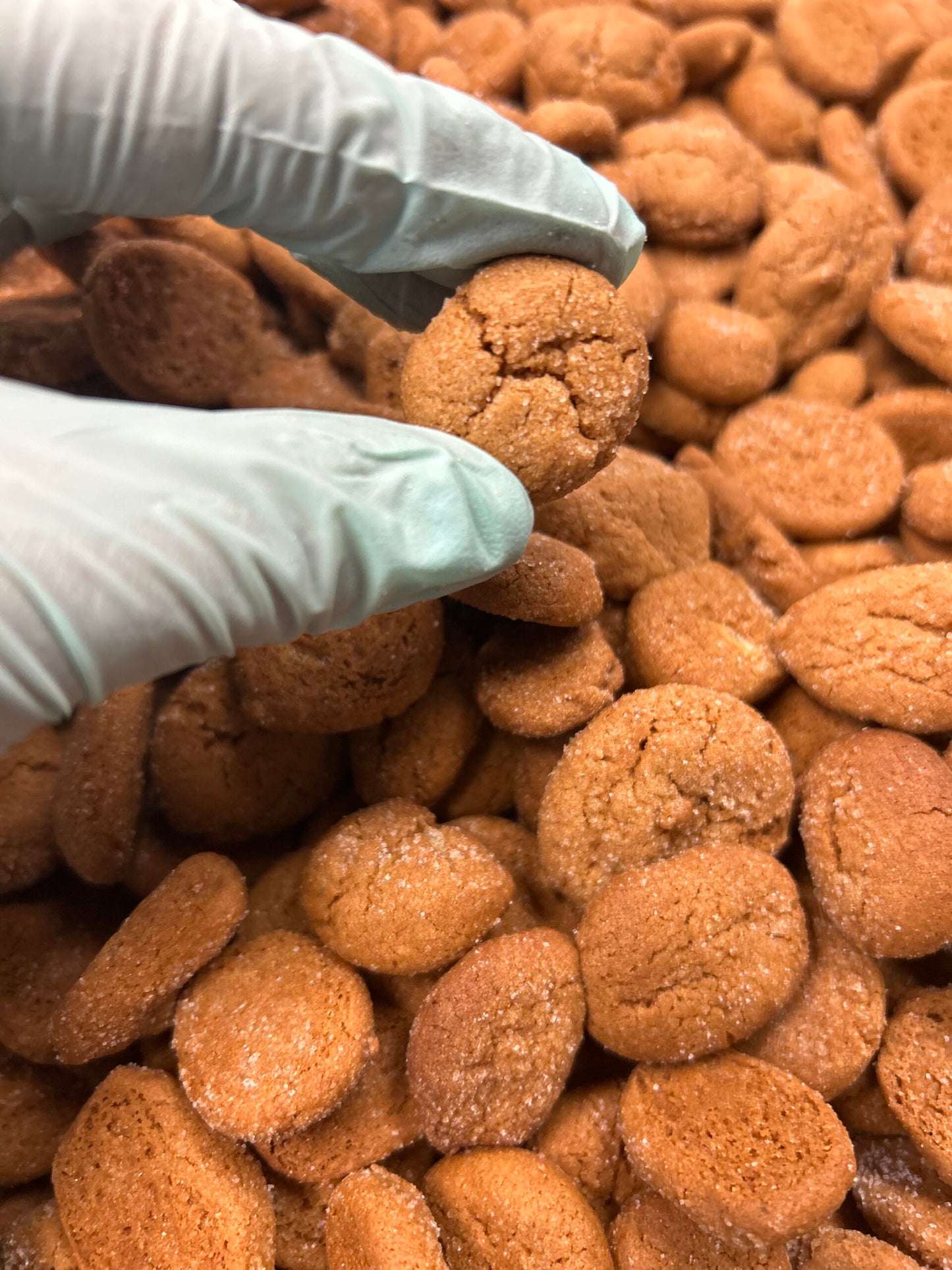 1lb of Ginger Snaps image 1