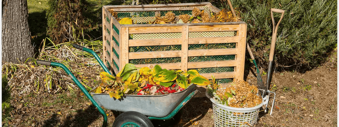 Unwrapping the Full Story: Why We Refused to Launch Until We Found NatureFlex
