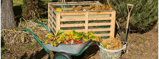 Unwrapping the Full Story: Why We Refused to Launch Until We Found NatureFlex